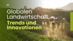 Die Zukunft der globalen Landwirtschaft: Trends und Innovationen 2026